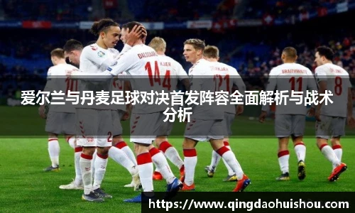 爱尔兰与丹麦足球对决首发阵容全面解析与战术分析