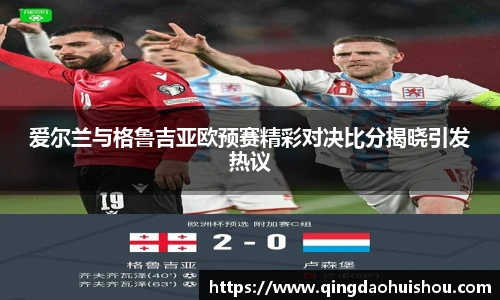 爱尔兰与格鲁吉亚欧预赛精彩对决比分揭晓引发热议